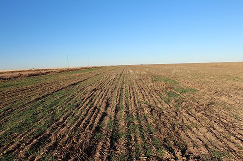 TRACT 3 - REAL ESTATE & MINERAL AUCTION - 640+/- ACRES & PRODUCING MINERALS OFFERED IN 8 TRACTS IN MORTON COUNTY, KANSAS